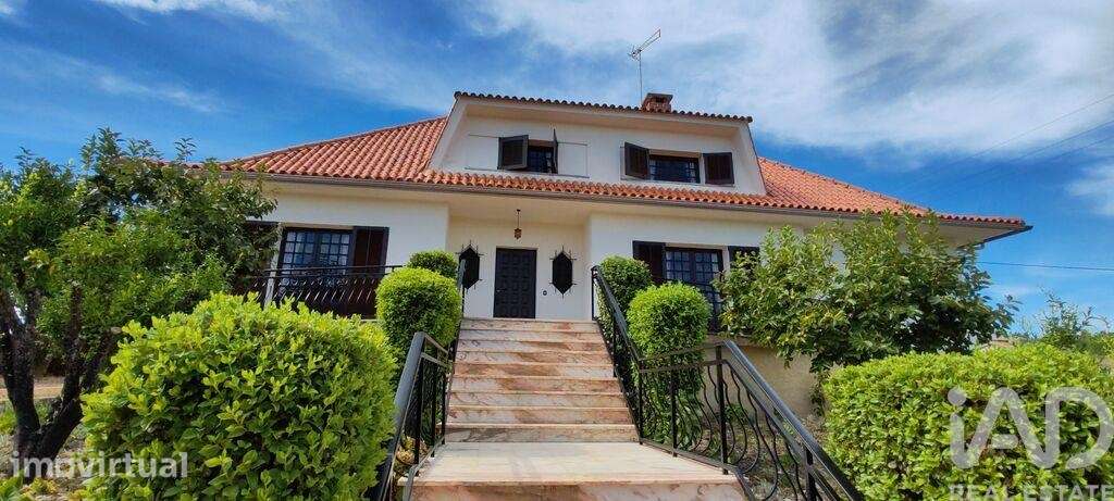 Casa / Villa T6 em Proença-a-Nova e Peral de 243 m2 - Grande imagem: 2/40