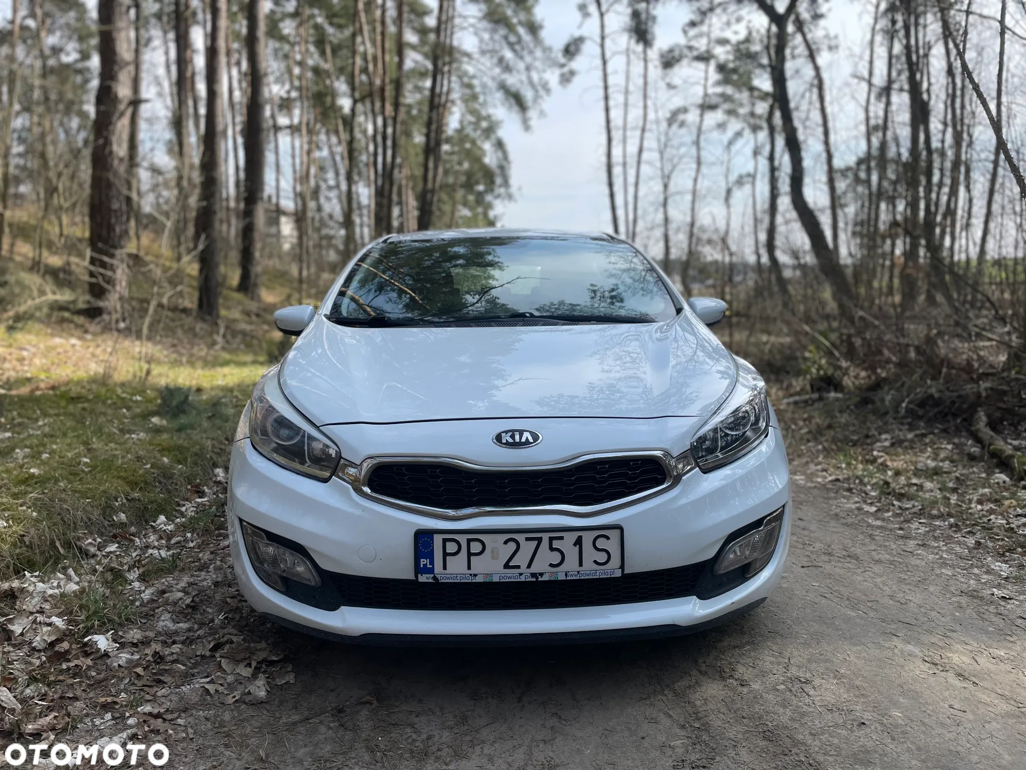 Kia ProCeed Pro_cee'd 1.6 crdi S - 2