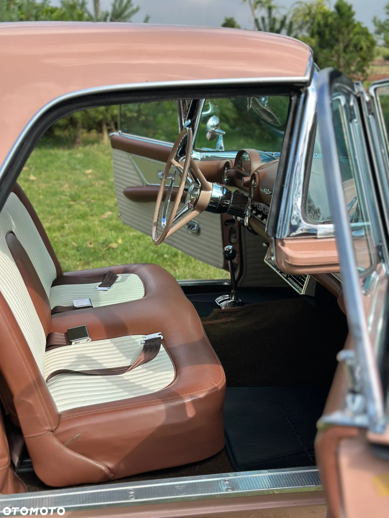 Ford Thunderbird - 30