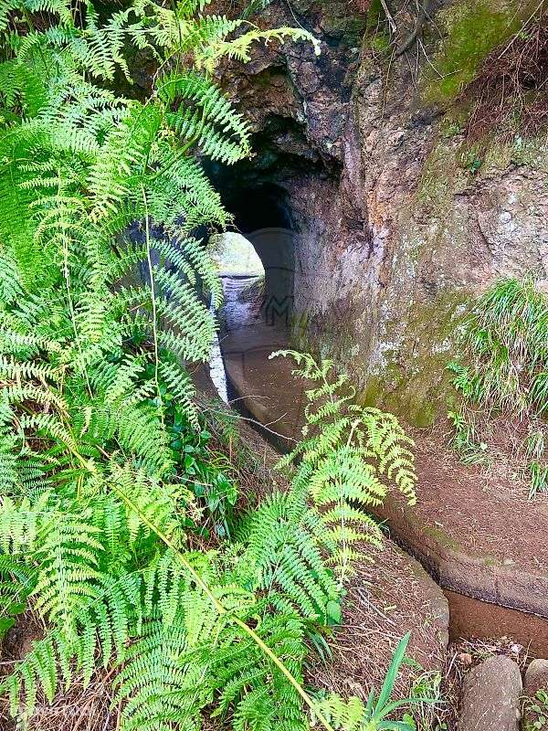 Terreno  para venda - Grande imagem: 3/40