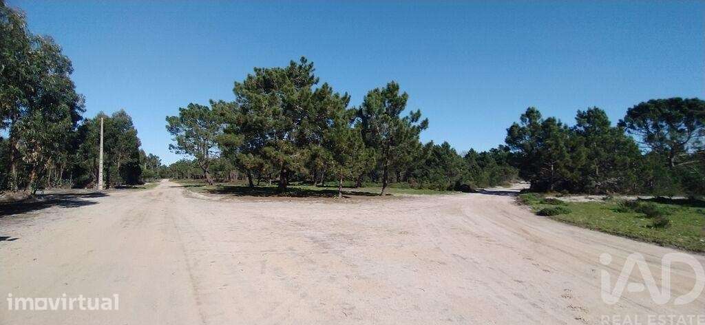 Terreno T1 em Vila do Bispo e Raposeira de 344887,00 m2 - Grande imagem: 3/27