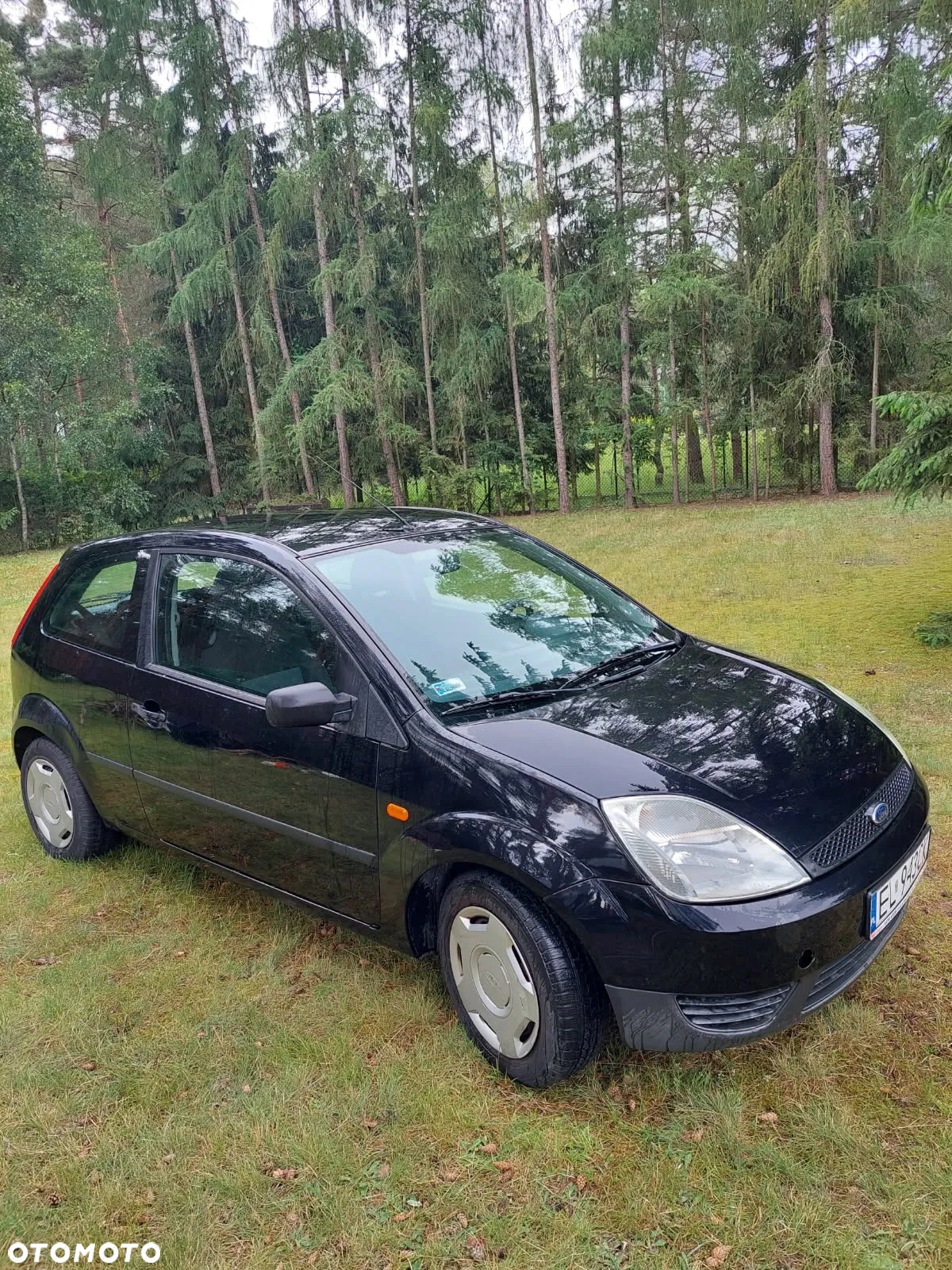 Ford Fiesta - 6