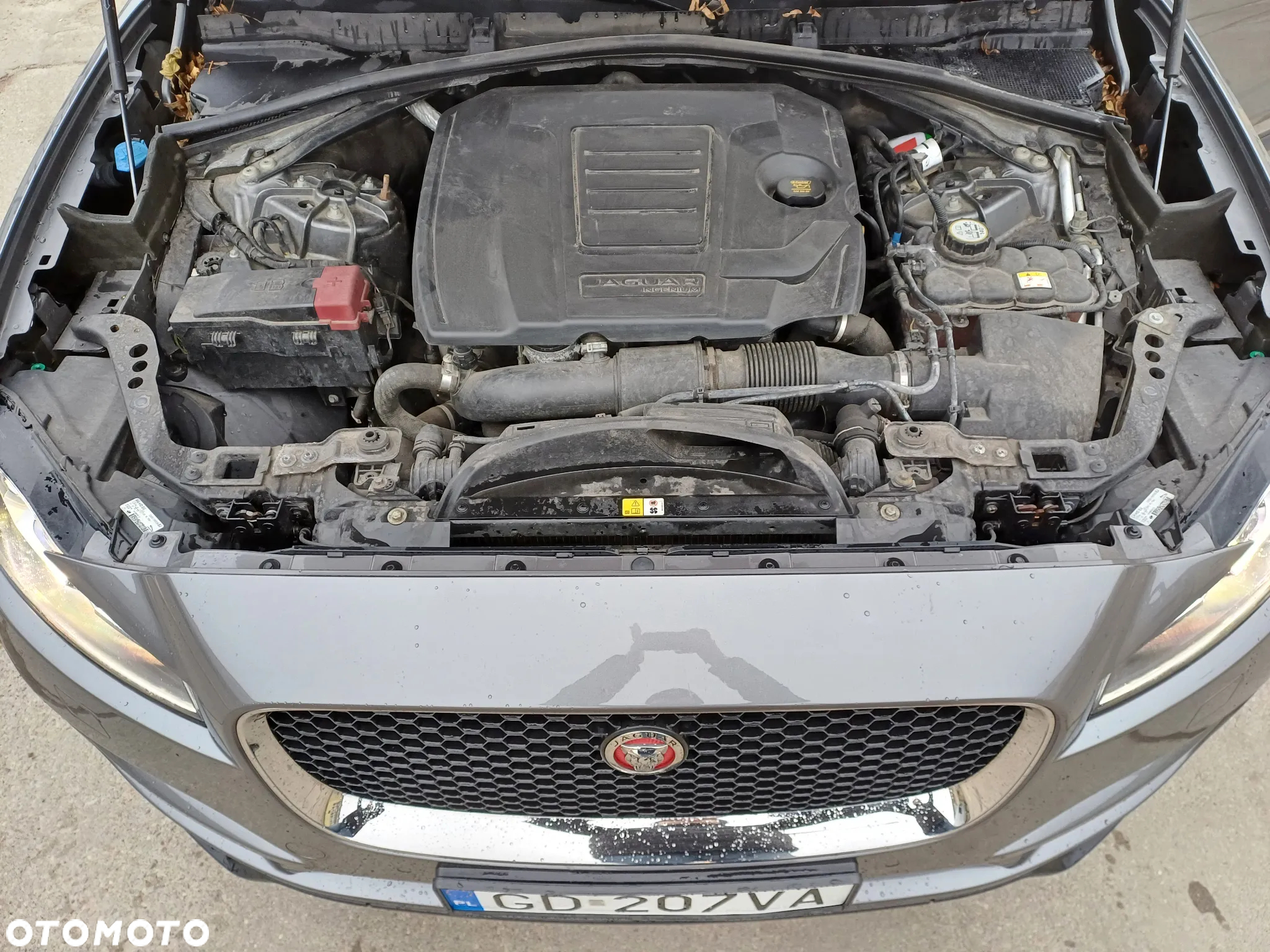Jaguar F-Pace - 16