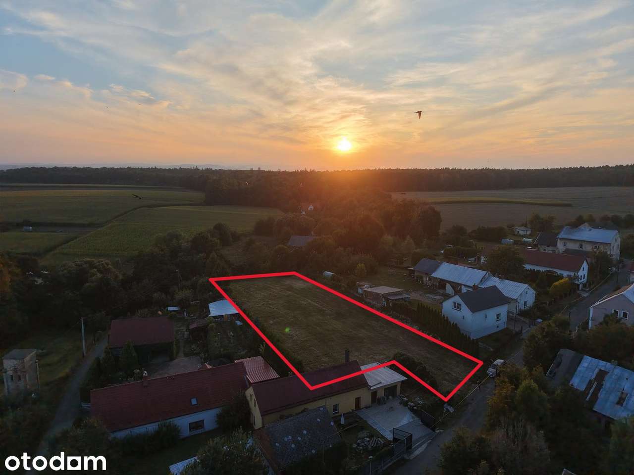 Na sprzedaż działka budowlana – 2000 m², blisko Głubczyc - Pełny obrazek: 2/3