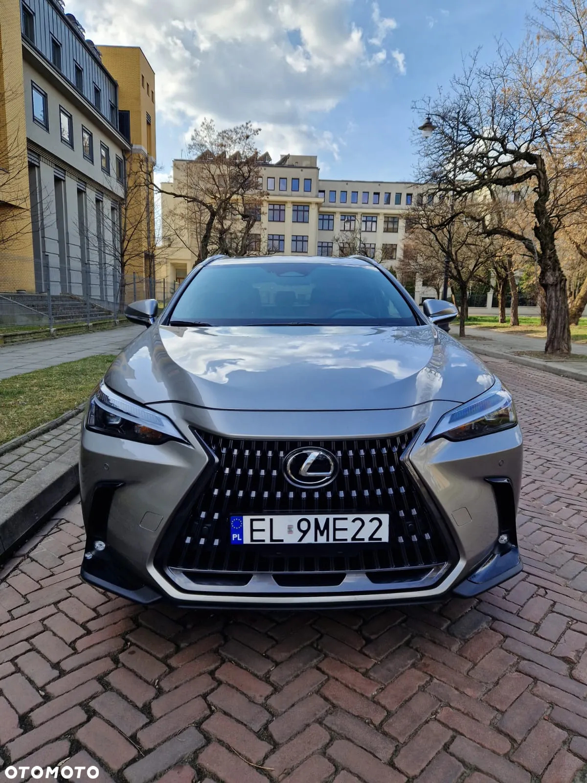 Lexus NX - 3