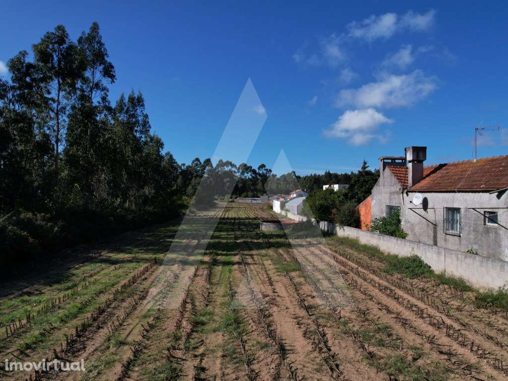 Terreno para construção de moradia a 10 minutos de Aveiro! - Grande imagem: 3/10