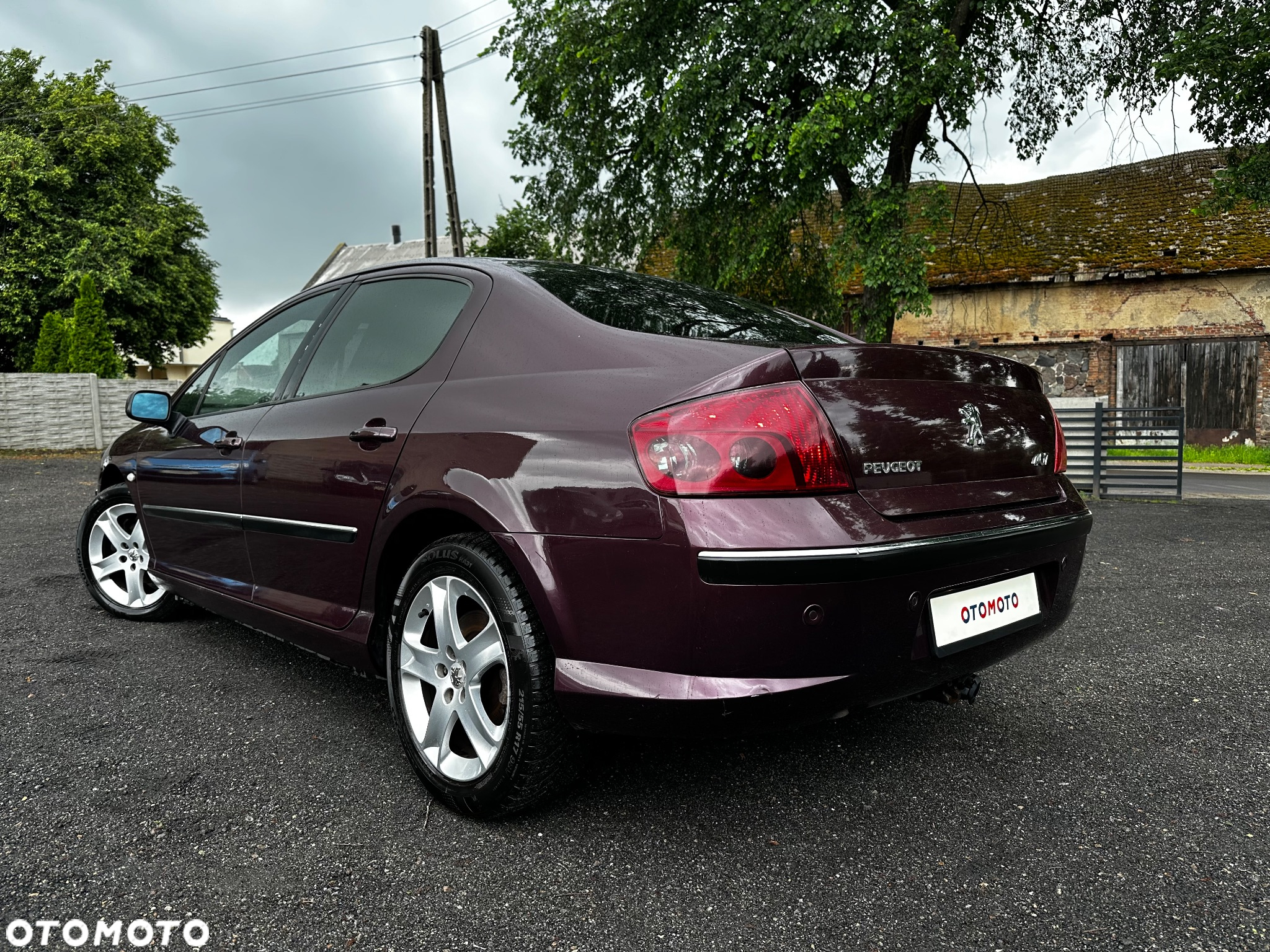 Peugeot 407 - 8