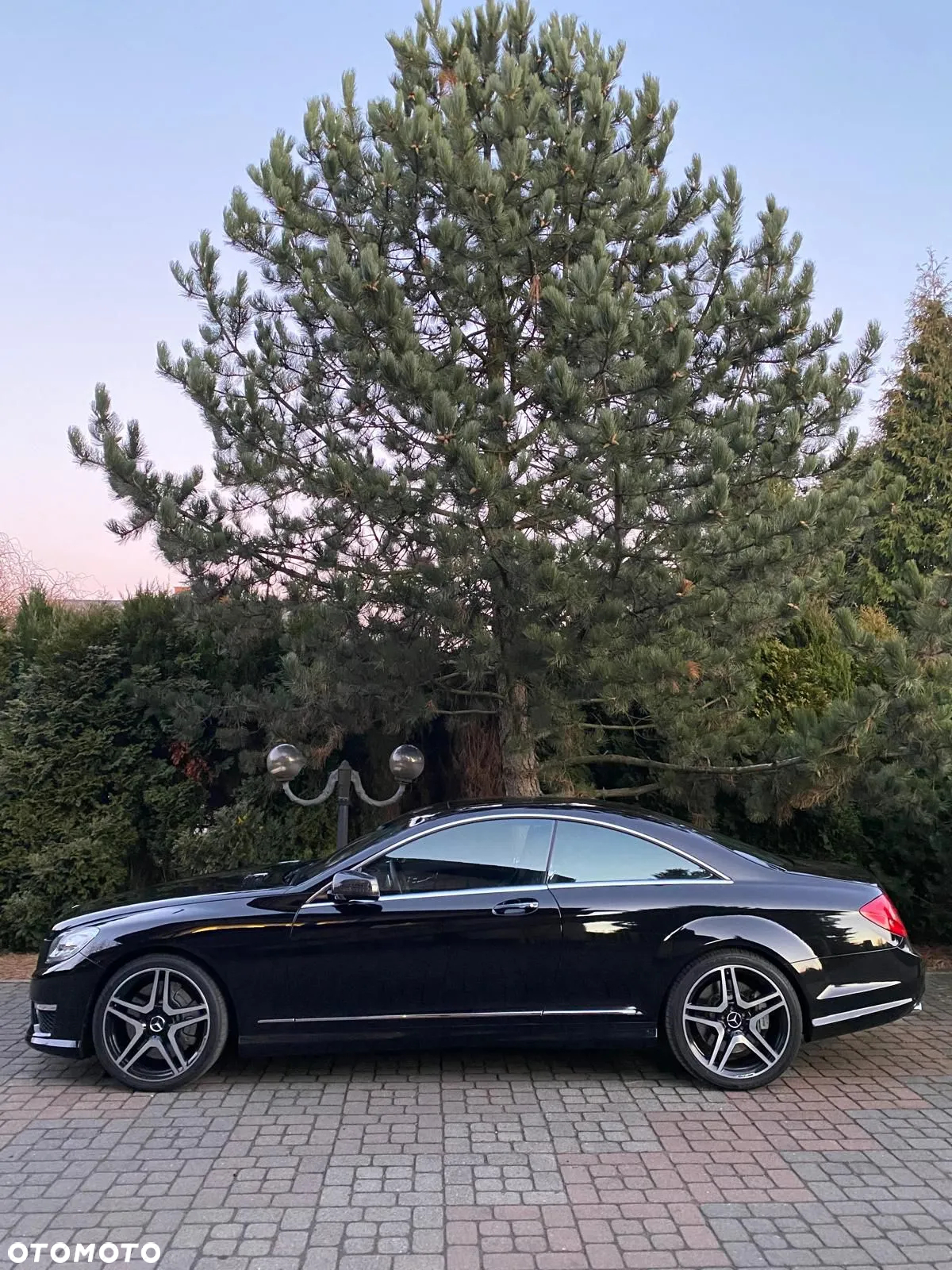 Mercedes-Benz CL 65 AMG Automatik - 5