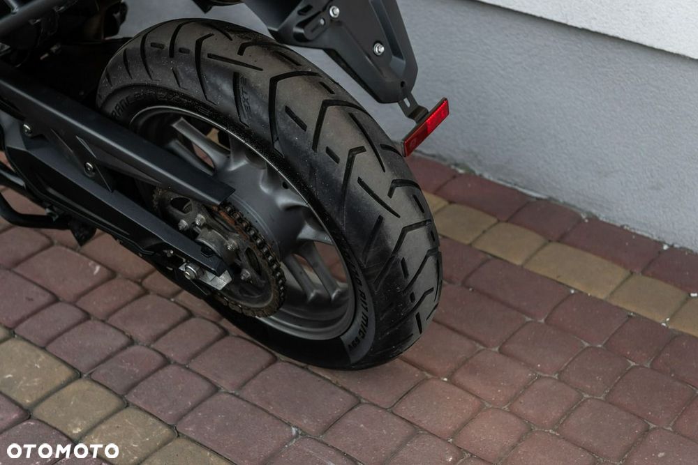 Triumph Tiger - 14