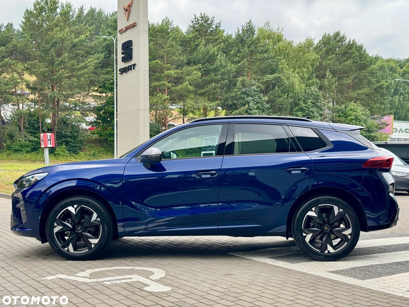Cupra Terramar 1.5 eTSI mHEV DSG - 10