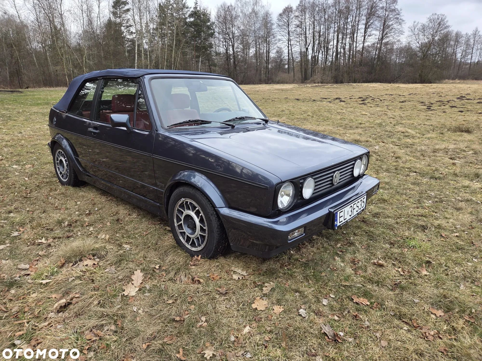 Volkswagen Golf - 1