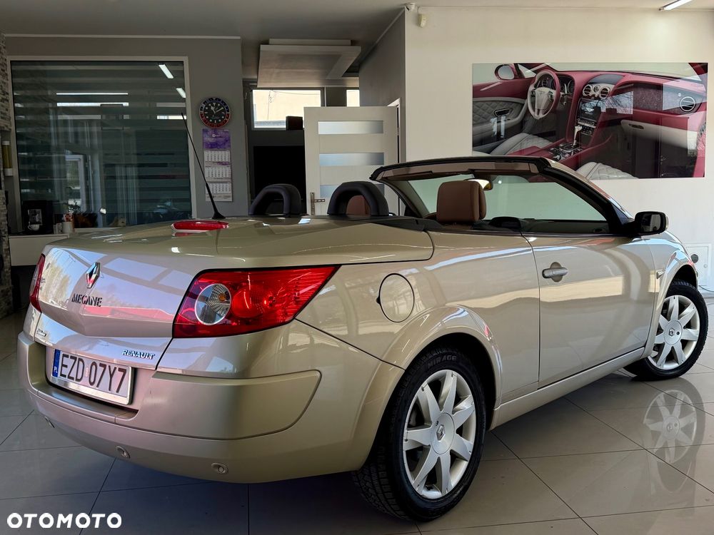 Renault Megane 2.0 Luxe Privilege - 36