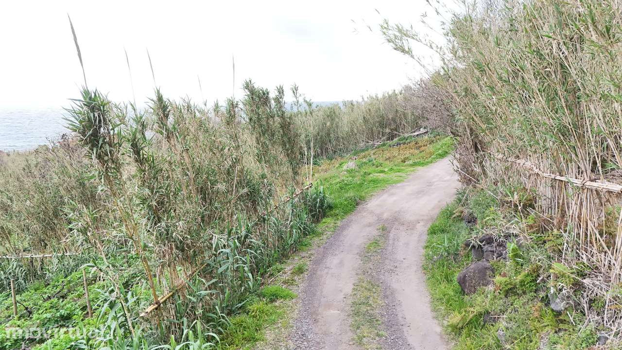 Terreno Rústico na Fajã do Calhau – Um Refúgio em Plena Natureza - Grande imagem: 3/13