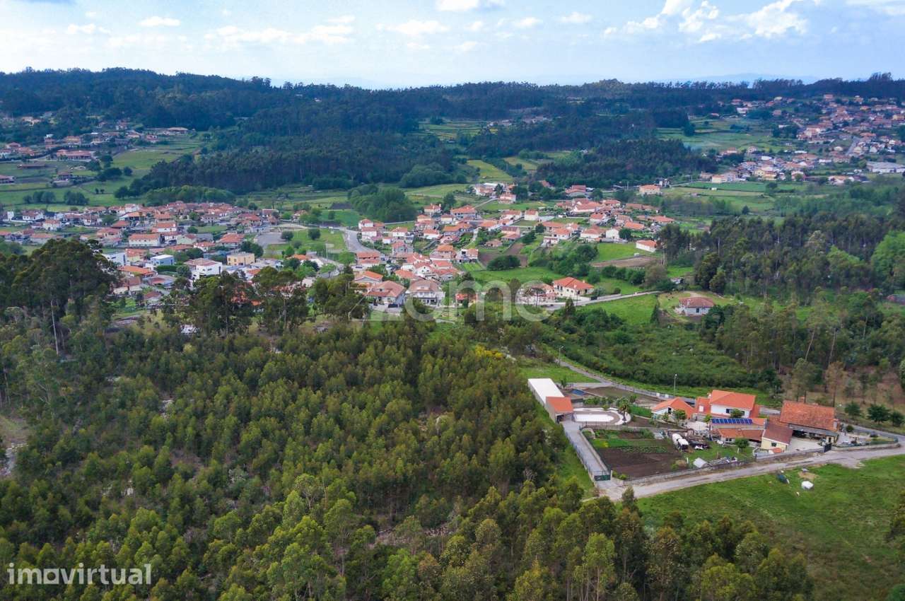 Terreno Rústico de 9.124 m2 em Barreiras - Monte Córdova - Grande imagem: 2/11