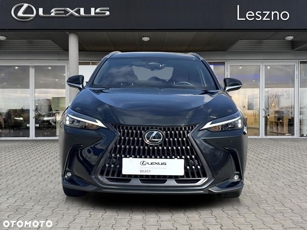 Lexus NX - 10