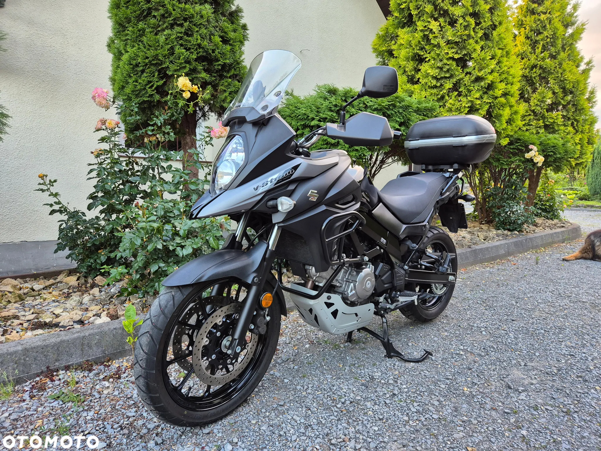 Suzuki DL - 3