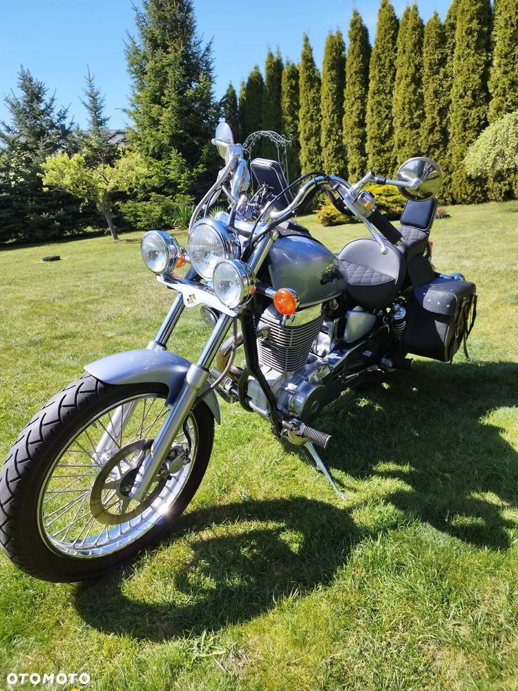 Suzuki Savage - 1