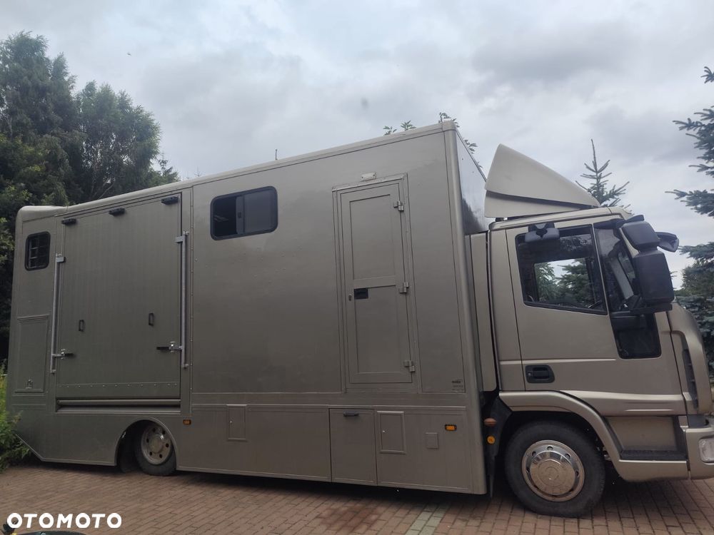 Iveco SPECJALNY KONIOWÓZ - 3