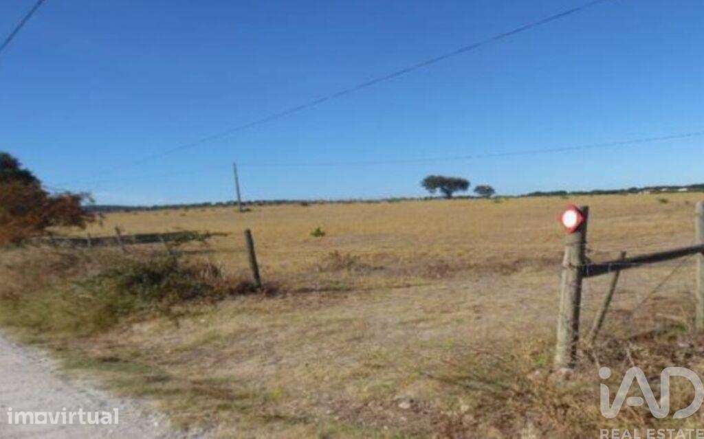 Terreno Agrícola em Estremoz - Grande imagem: 5/5