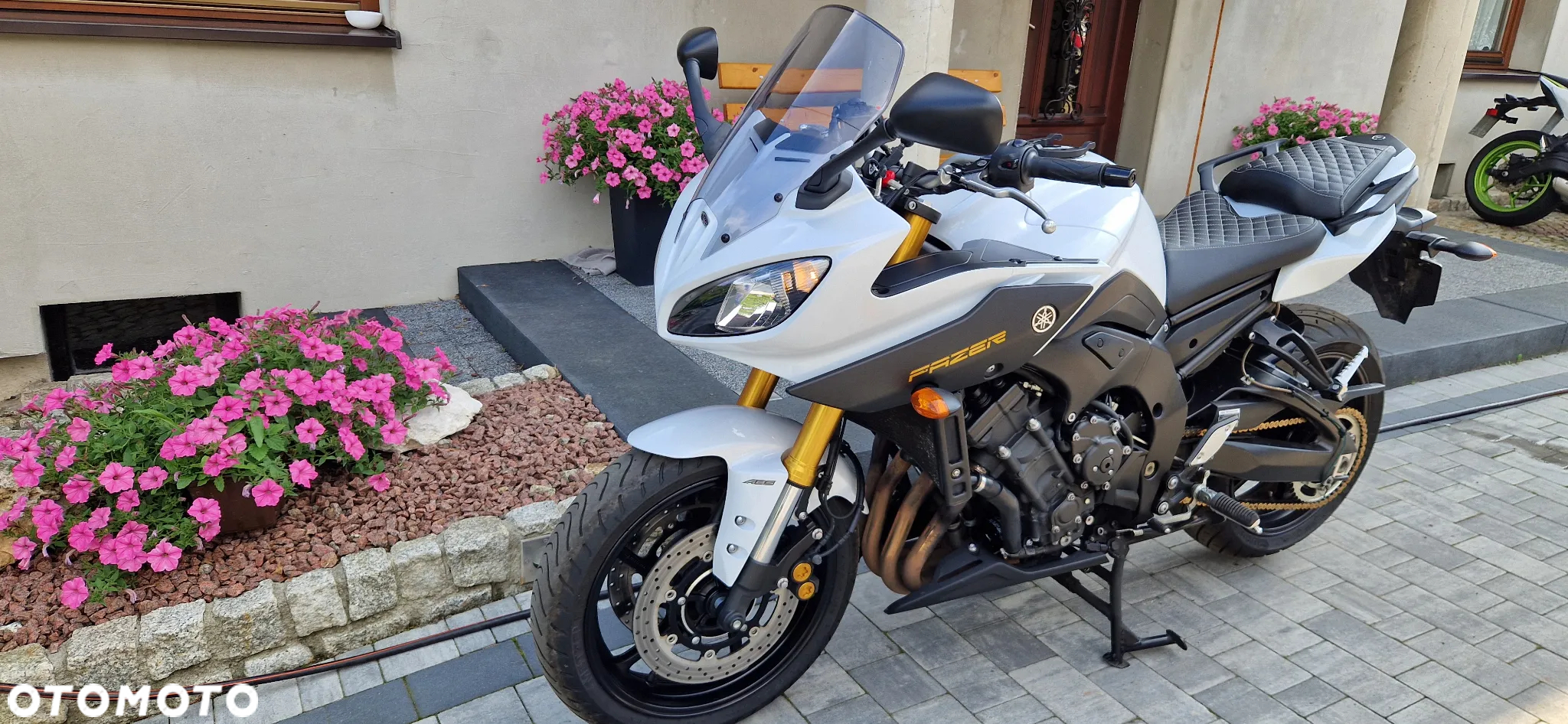 Yamaha FZ - 10