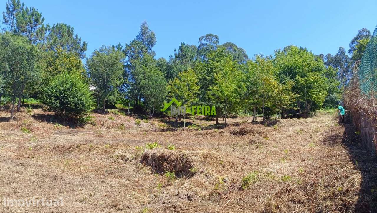 Terreno com projeto, Vale de Cambra - Grande imagem: 2/15