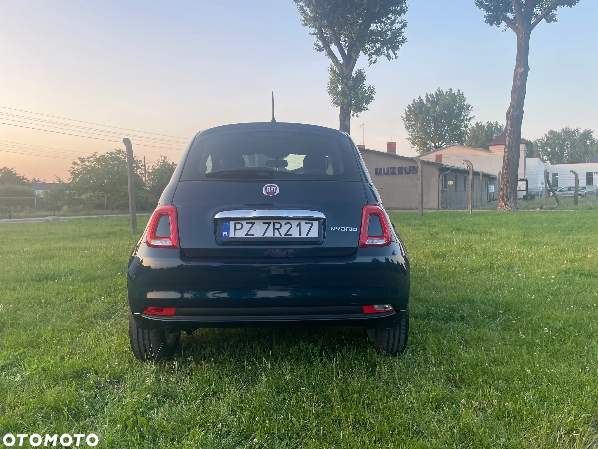 Fiat 500 1.0 Hybrid - 31