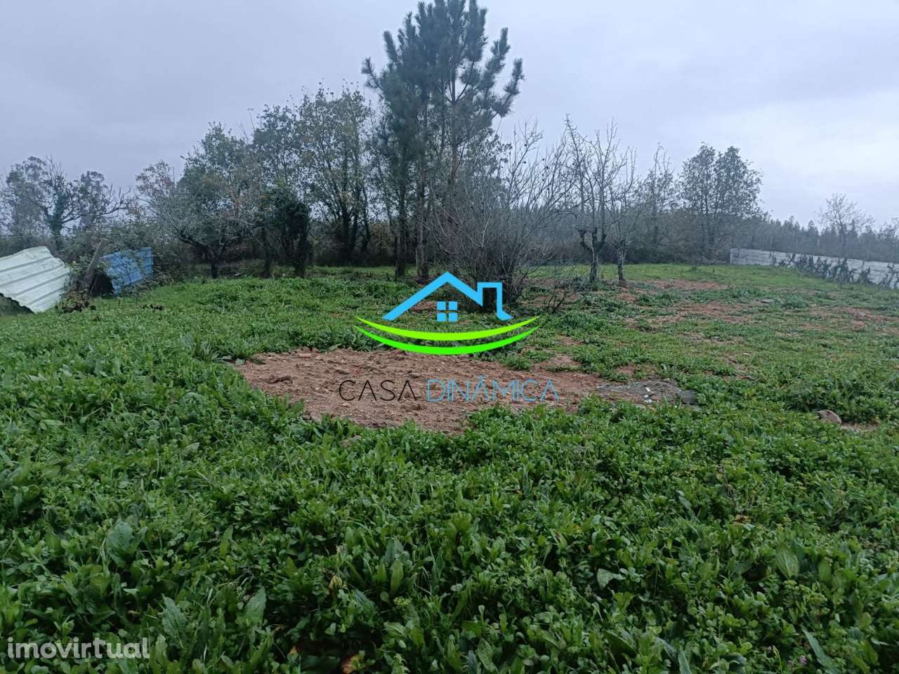 Terreno para Construção em Soure – Coimbra - Grande imagem: 2/13