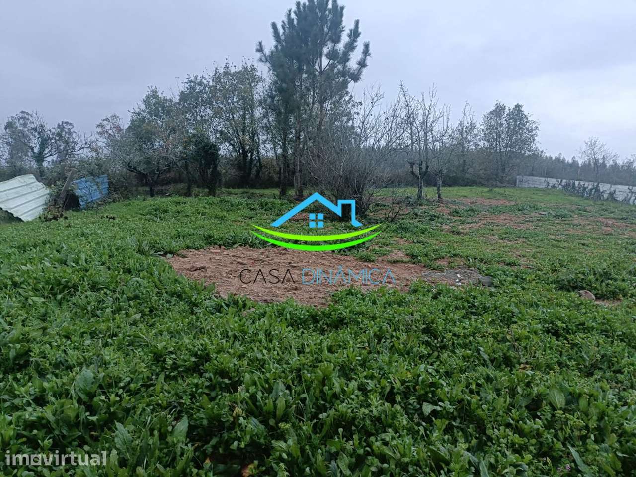 Terreno para Construção em Soure – Coimbra - Grande imagem: 2/13