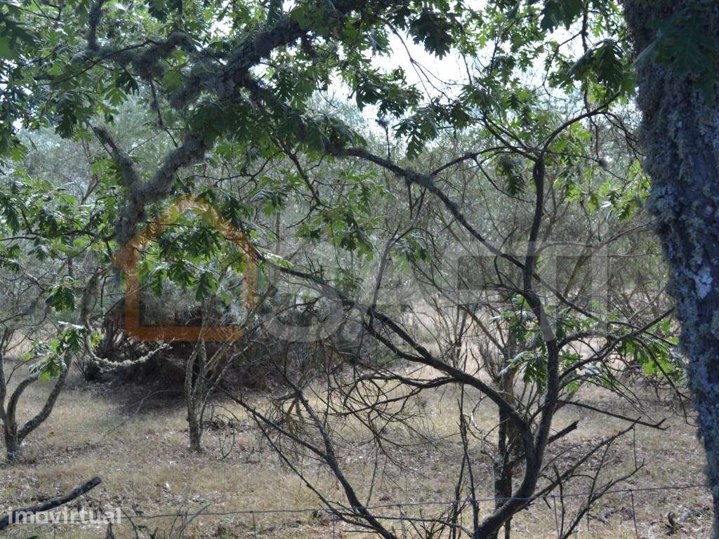 Terreno à venda em Casal Cinza - Grande imagem: 3/25