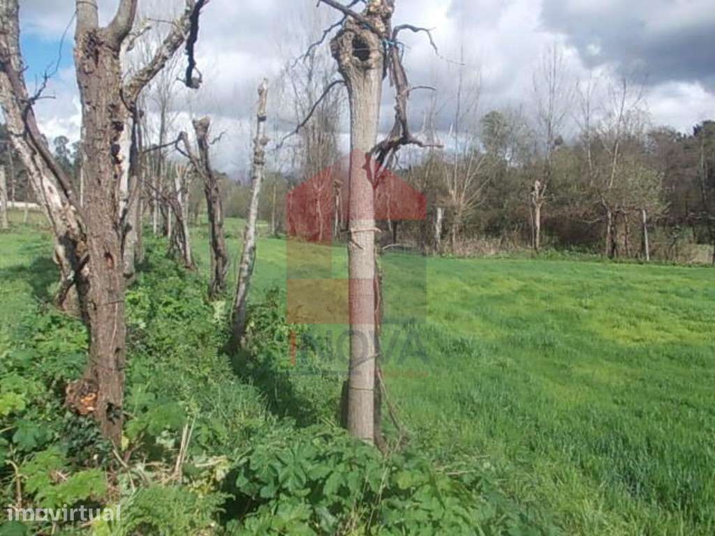 Terreno agrícola em Gême - Grande imagem: 3/6