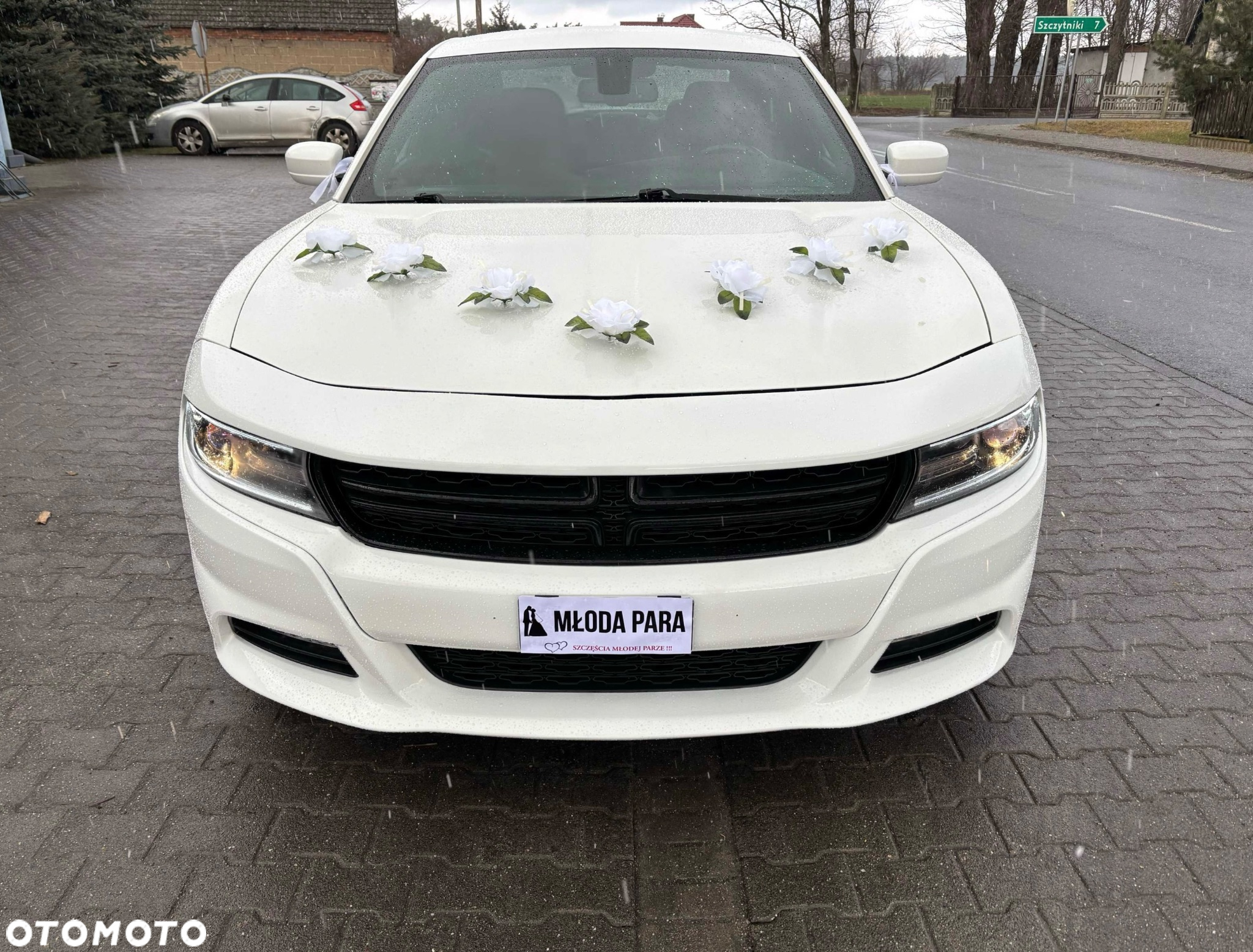Dodge Charger Automatik Rally - 7