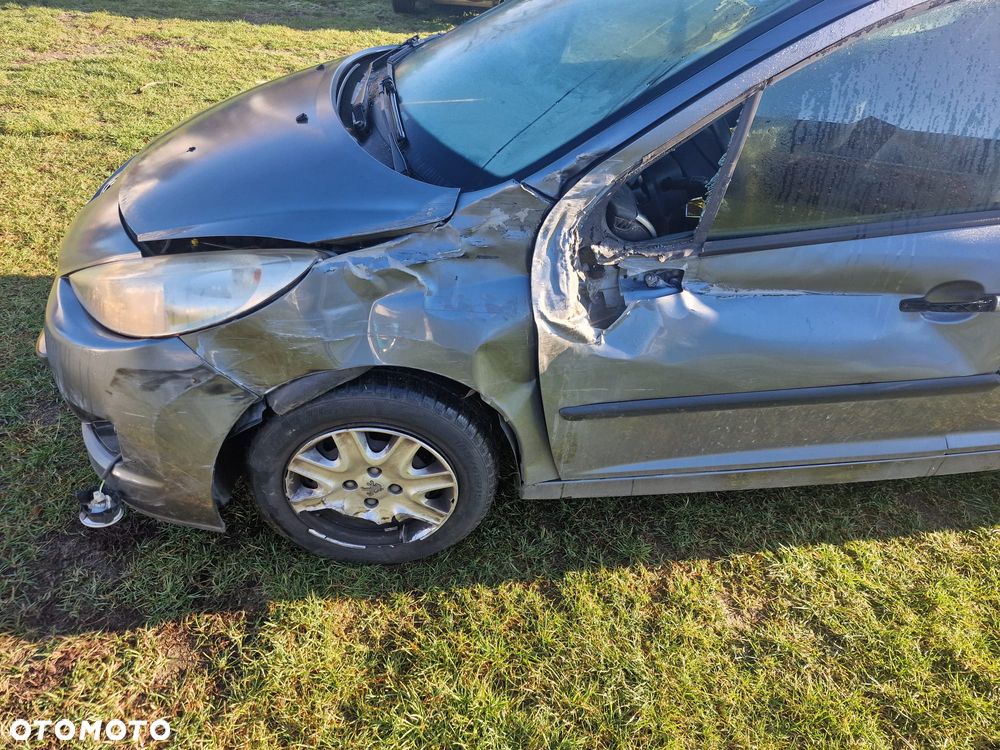 Peugeot 207 90 HDi FAP (Blue Lion) Filou - 2