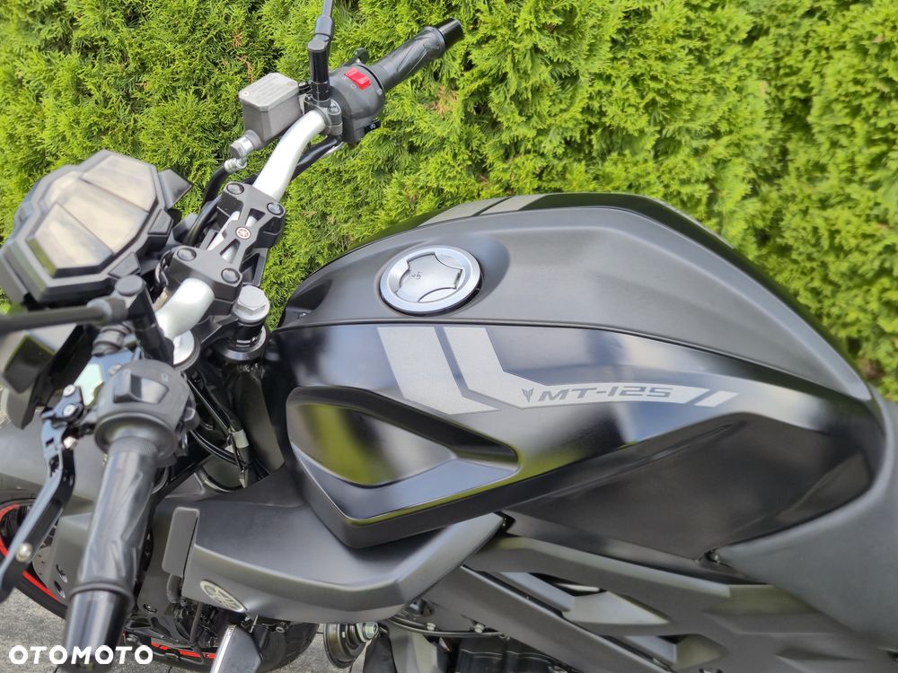 Yamaha MT - 18