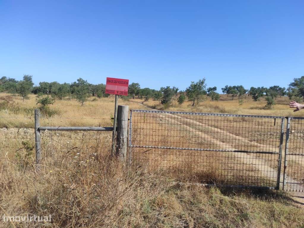 Refúgio Exclusivo em Grândola: Quinta com 35 Hectares e Potencial I... - Grande imagem: 3/15