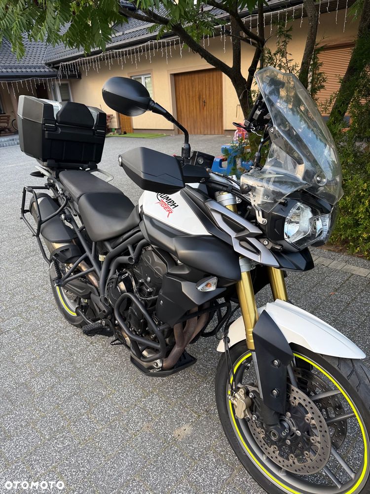 Triumph Tiger - 7