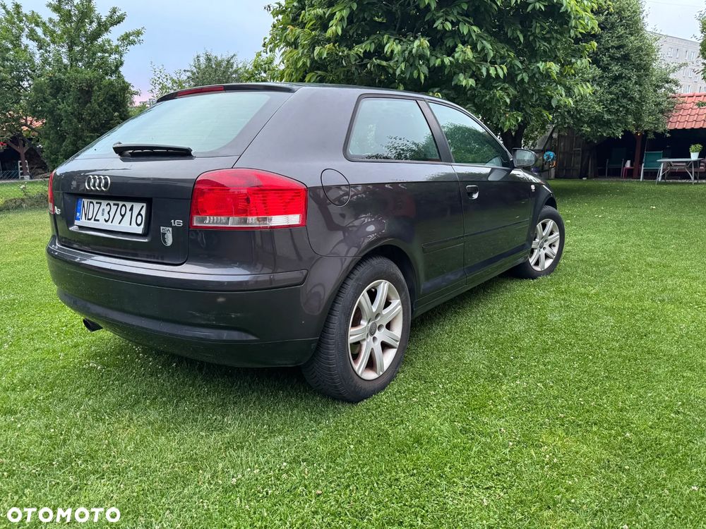 Audi A3 3-drzwiowe 1.6 Ambition - 21
