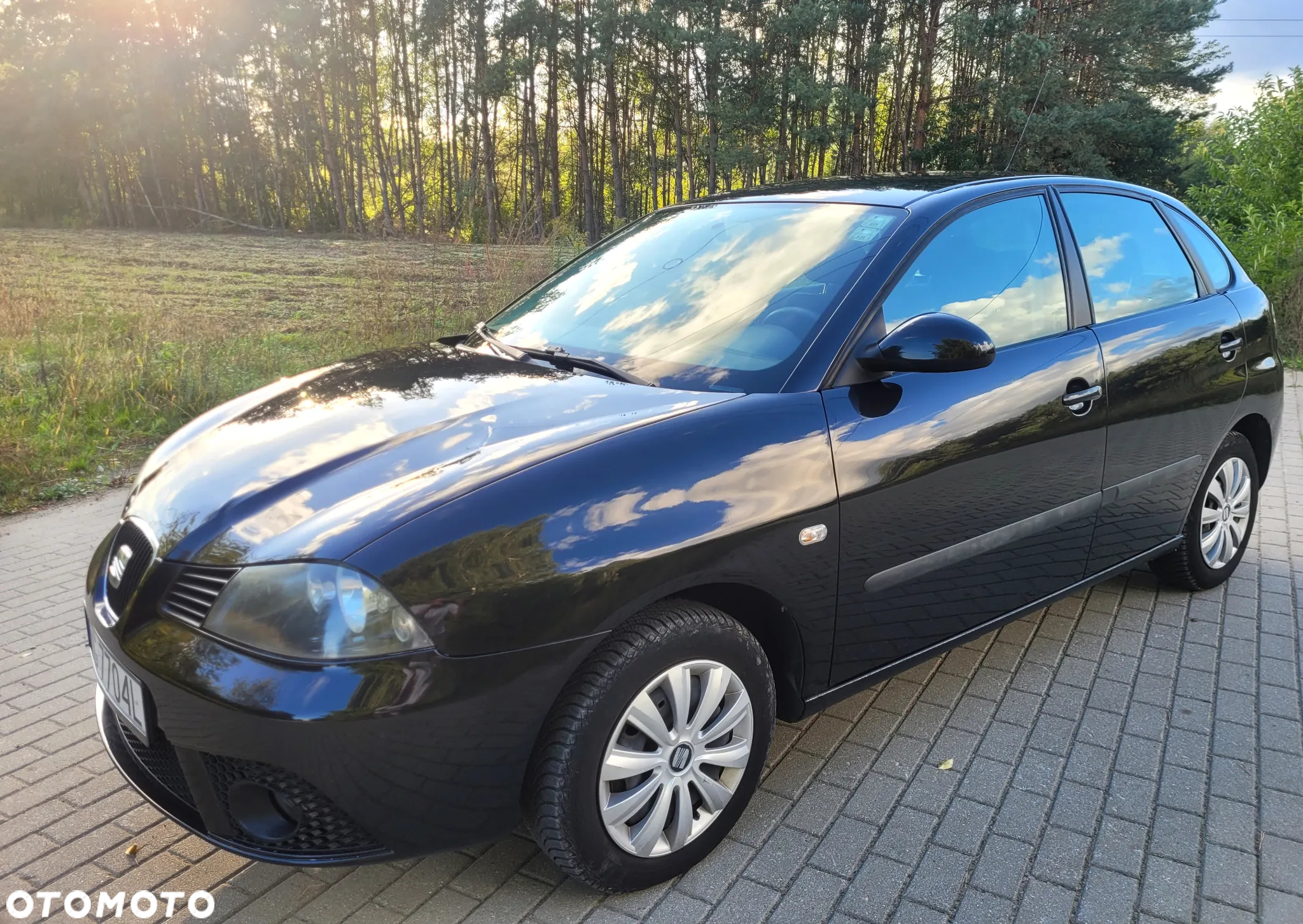 Seat Ibiza 1.4 16V Style - 9