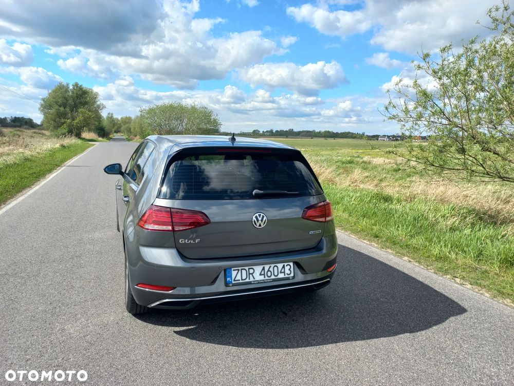 Volkswagen Golf - 8