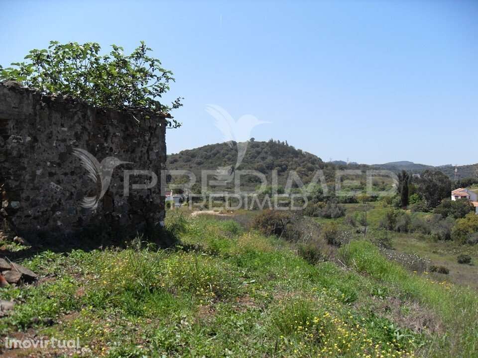S. BARTOLOMEU DE MESSINES. Terrenos misto para agircultura e habitação - Grande imagem: 3/16
