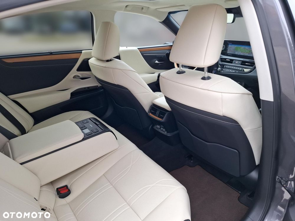 Lexus ES 300h Omotenashi - 17