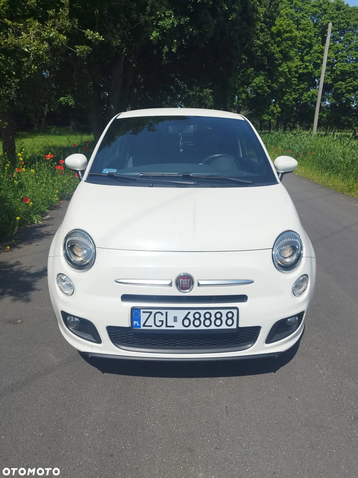 Fiat 500 1.2 8V Sport Euro6 - 2
