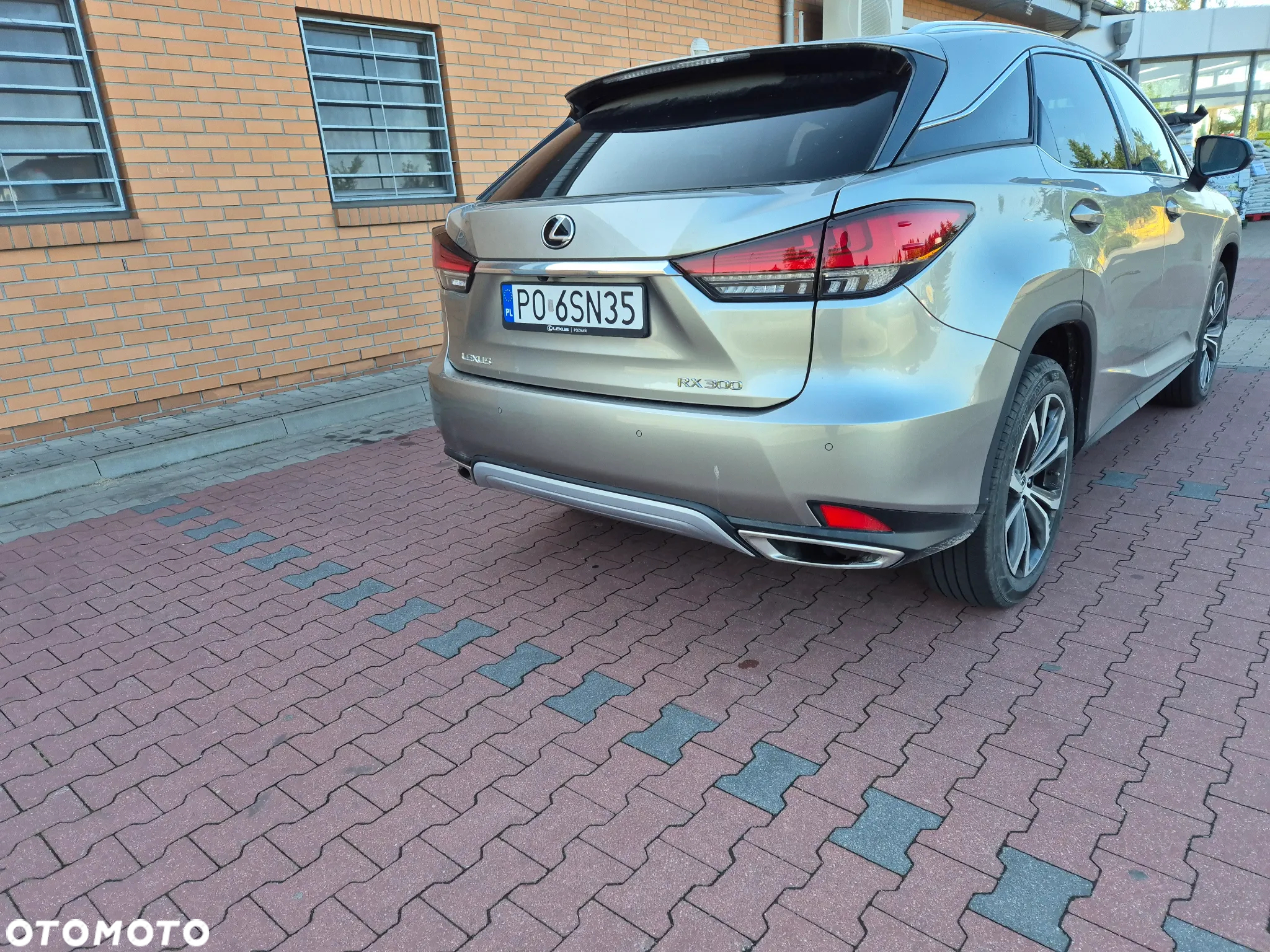 Lexus RX 300 Business Edition + - 10