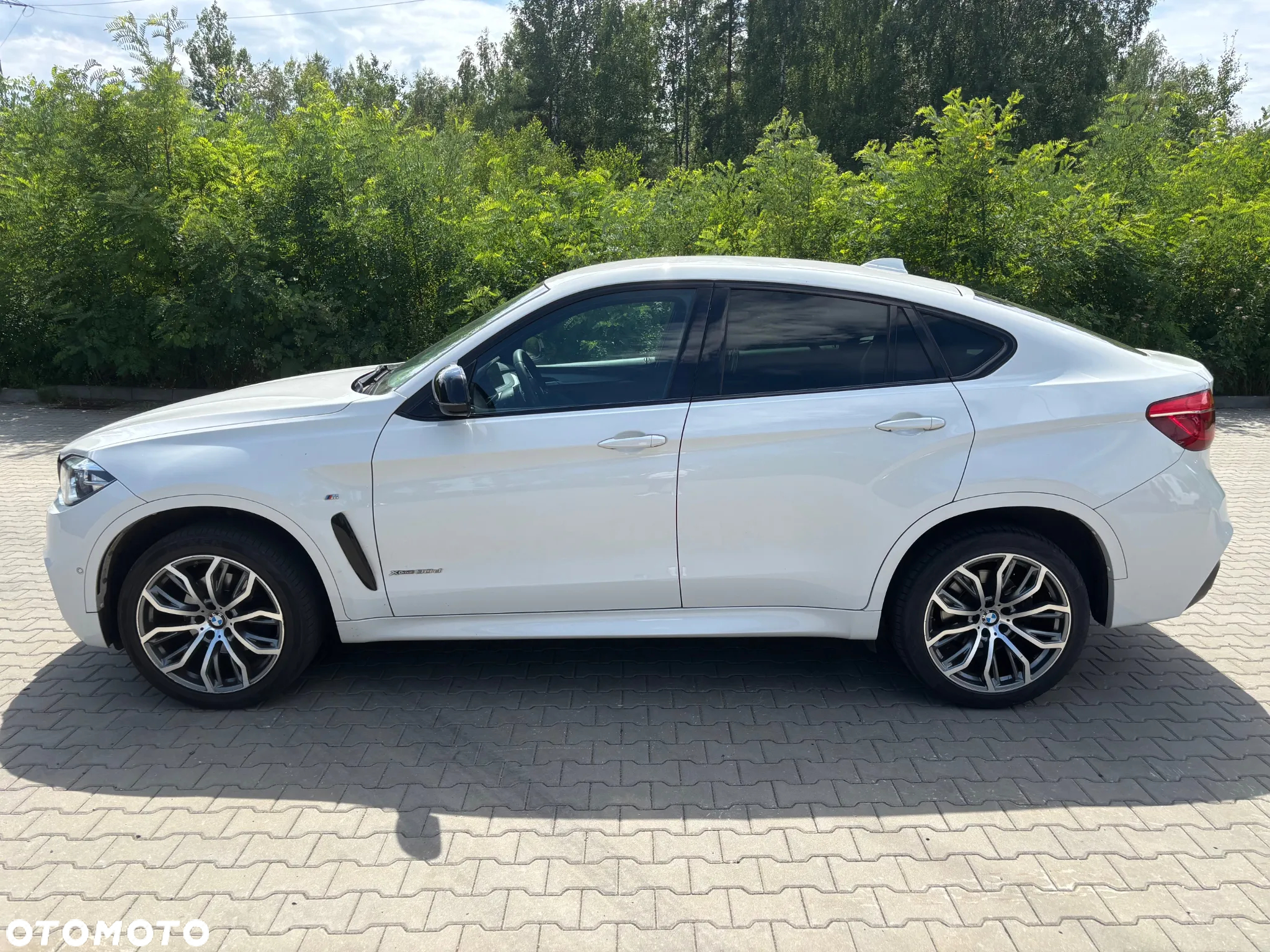 BMW X6 xDrive30d - 6