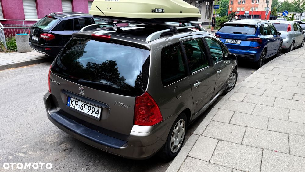 Peugeot 307 110 Premium - 2
