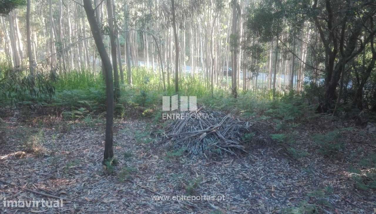 Terreno de construção para venda, Vilarelho, Caminha