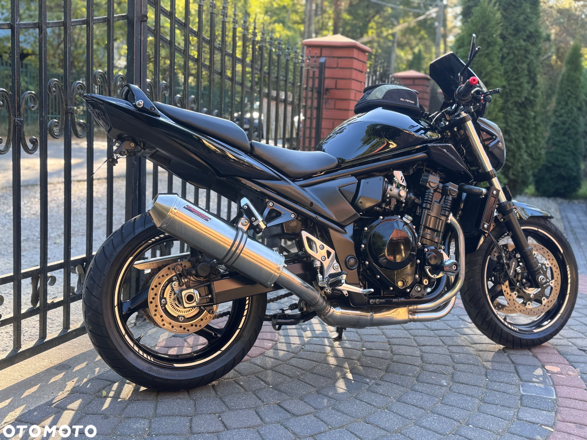 Suzuki Bandit - 4