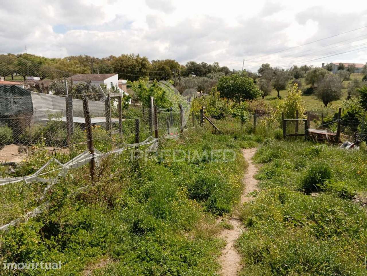 Terreno  - Urra/ Portalegre - Grande imagem: 5/5
