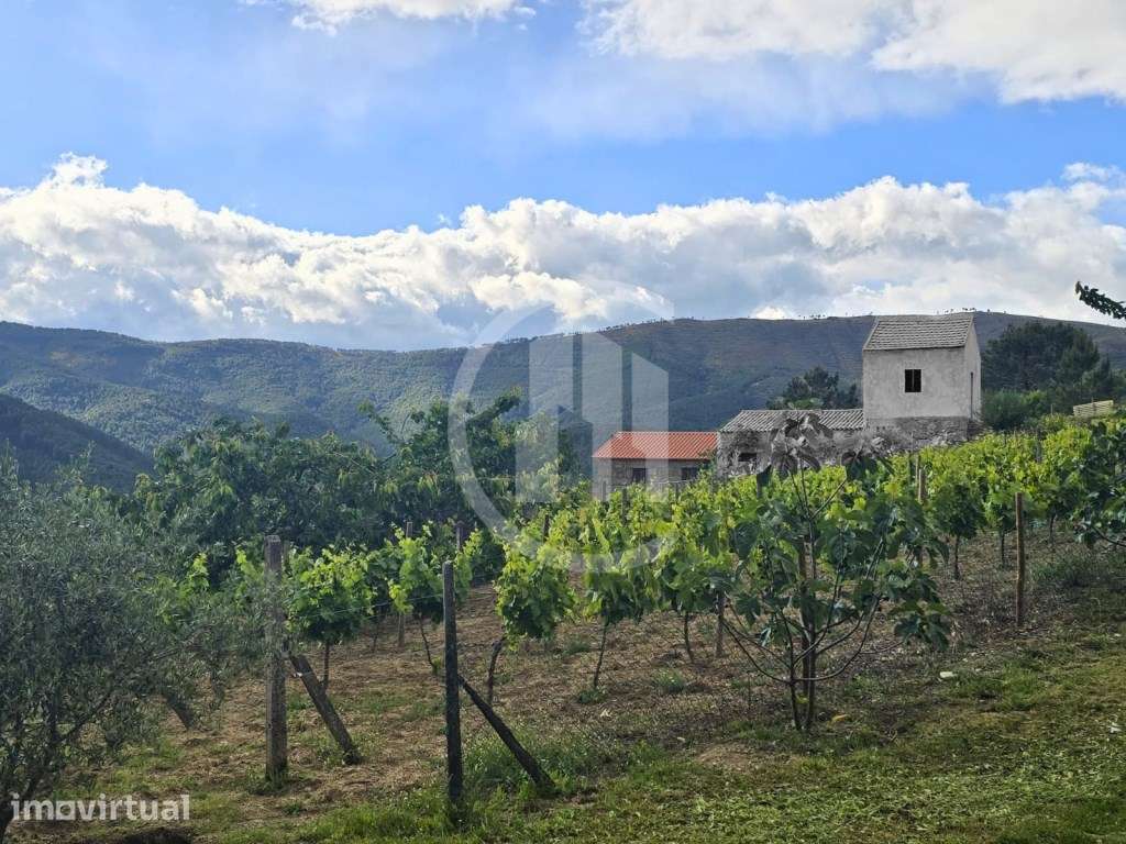 Quinta com casa rural geminada - Grande imagem: 4/10