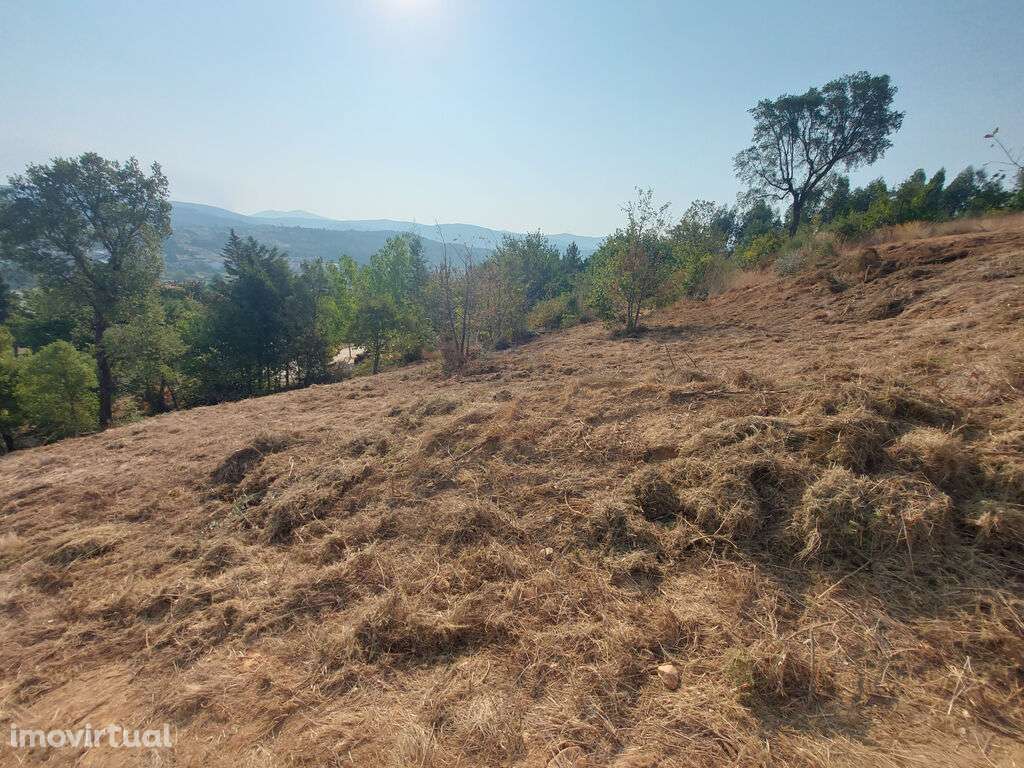 Venda Terreno - Grande imagem: 2/4