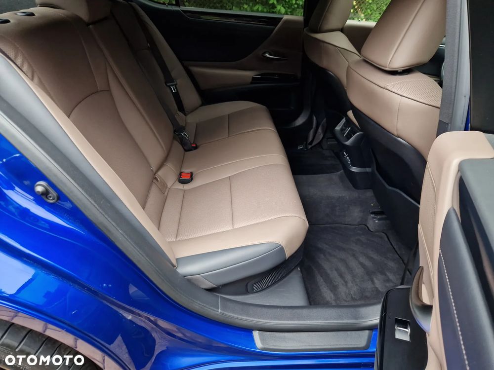 Lexus ES 300h F Sport Design - 10